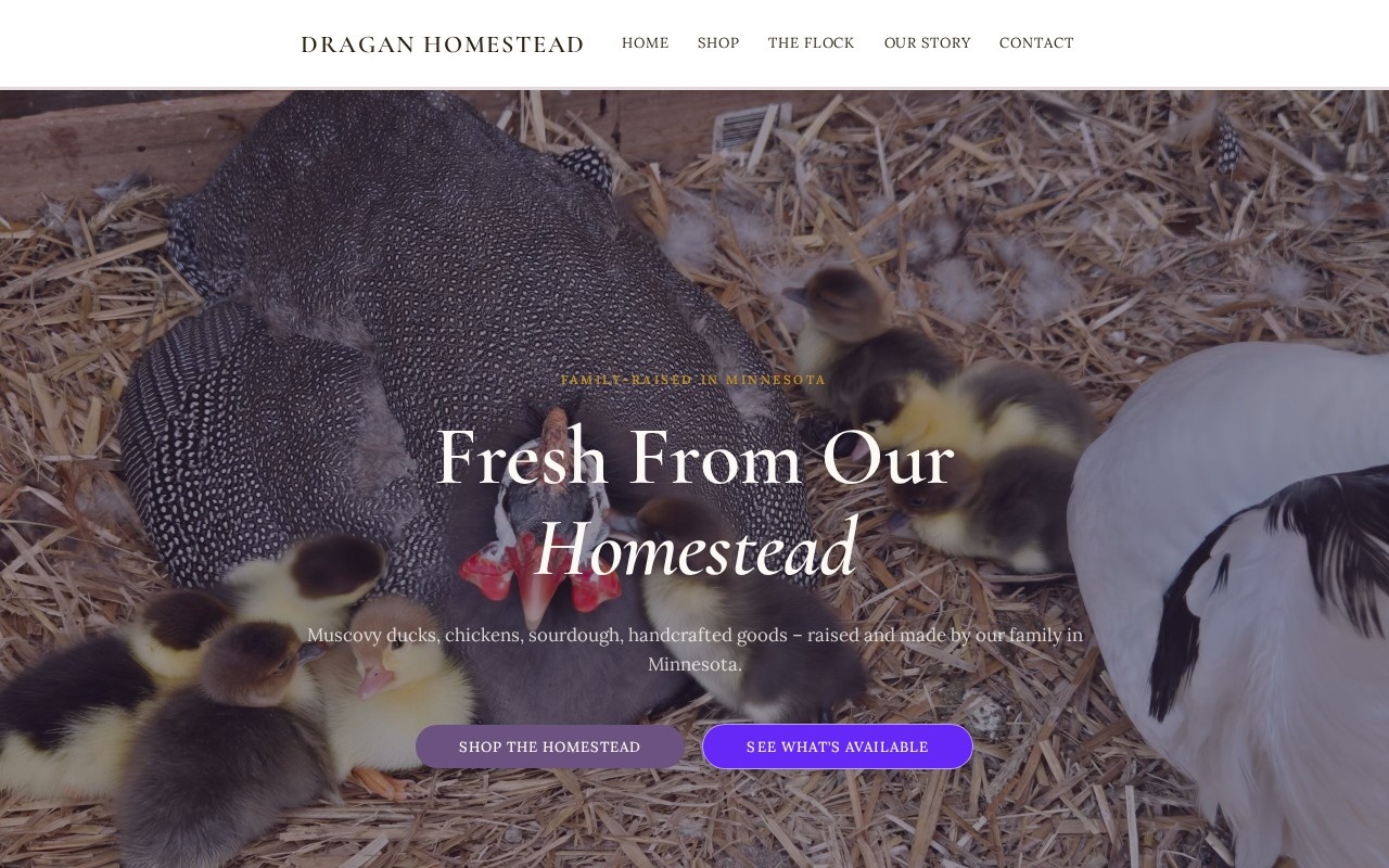 draganhomestead.com — built by Dragan Holdings